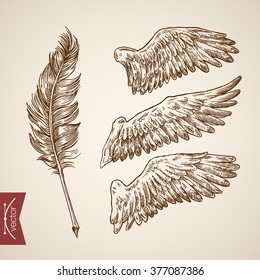 Angel Bird Wings Feather Template Icon Set. Engraving Style Pen Pencil Crosshatch Hatching Paper Painting Retro Vintage Vector Lineart Illustration.