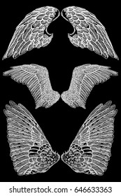 Angel or bird wings set. Sketch isolated vector illustration.