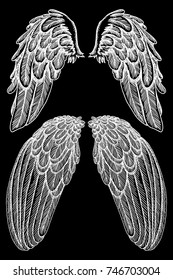 Angel or bird wings set. Sketch isolated vector illustration. Tattoo art vector
