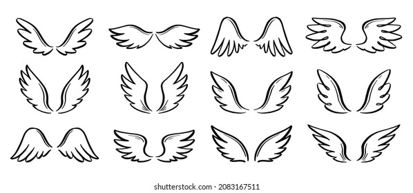 Angel doodle wing set  Hand drawn sketch style wing  Bird feather  angel concept vector illustration  Pencil line drawing 