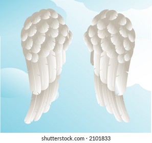 angel or dove wings