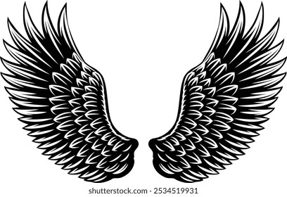 Angel, eagle, hawk or falcon bird wings feather wing pair set illustration in a vintage woodcut style 