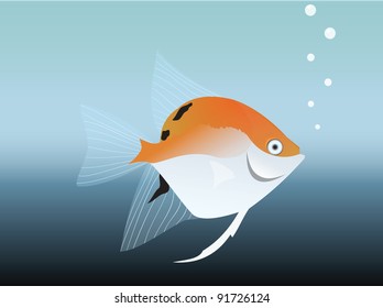 Angel fish