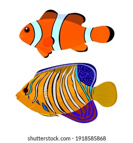 Angel Fish And Clown Fish, Vector Illustration