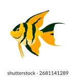 Angel fish for educational materials aquarium decor and seafood branding