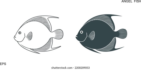 Angel fish logo. Isolated angel fish on white background