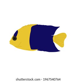 Angel fish. Ocean fish. Vector illustration.