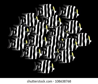 angel fish shoal