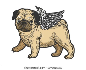 Angel flying pug dog puppy color sketch engraving vector illustration. Scratch board style imitation. Black and white hand drawn image.