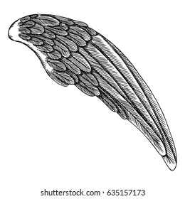 Angel. Illustration on white background. Black and white style vector of bird wing.