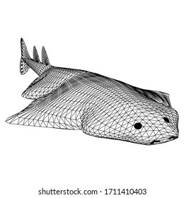 angel shark polygonal lines illustration. Abstract vector angel shark on the white background