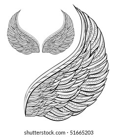 angel wing