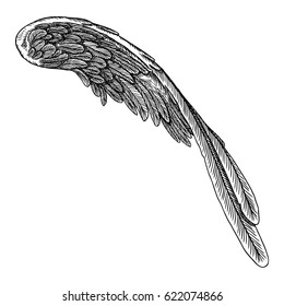 Angel Wing. Illustration on white background. Black and white style vector of bird wing.