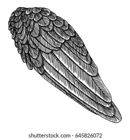 Angel Wing. Illustration on white background. Black and white style vector of bird wing.