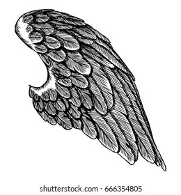 Angel Wing. Illustration on white background. Black and white style vector of bird wing.