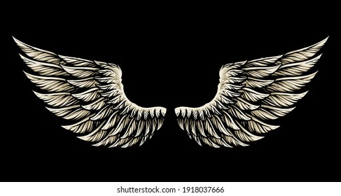 the angel wing vector illustration