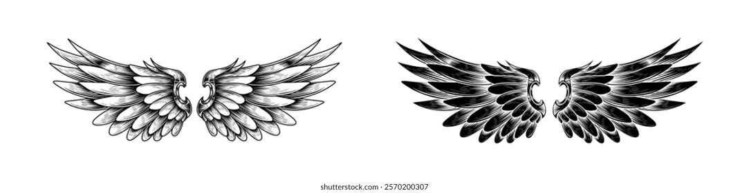 Angel Wing Vector Scetch Designs Collection