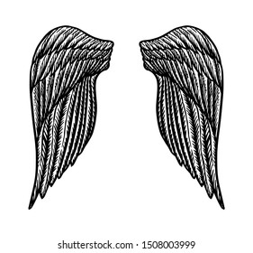 Beautiful Angel Wings Feathers Stock Vector (Royalty Free) 1009205581