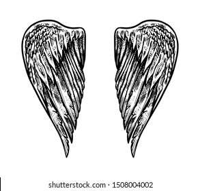 Angel wing in vintage style. Template for tattoo and emblems, t-shirts and logo. Emblem for stickers. Engraved sketch. Vector illustration.