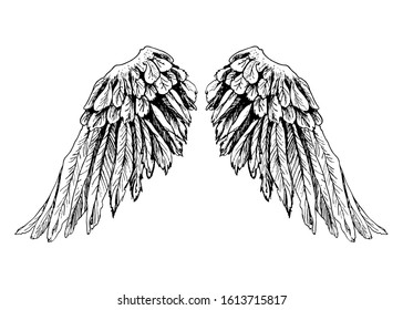 Angel wings. Beautiful painted wings. Black and white wings. Suitable for postcards, posters, prints for t-shirts, smartphones, bags, music CDs, coloring books, design elements.