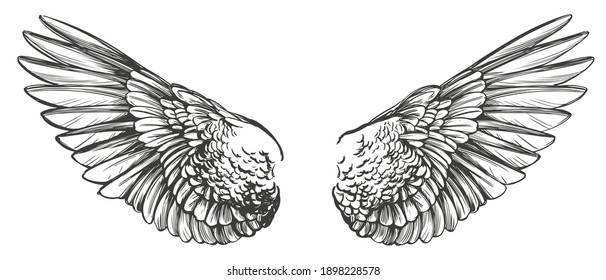 Angel wings, bird wings collection cartoon hand drawn vector illustration sketch