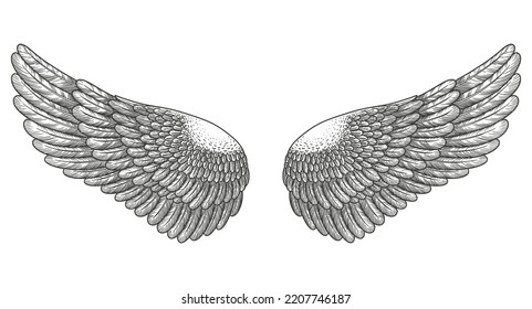 Angel wings, bird wings collection Engraving hand drawn vector illustration sketch	