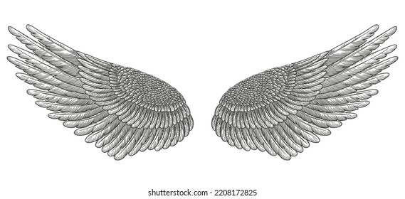 Angel wings, bird wings collection Engraving hand drawn vector illustration sketch	