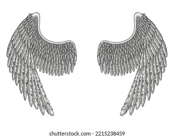 Angel wings, bird wings collection hand drawn vector vintage illustration 