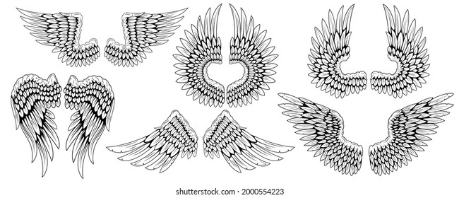 Angel wings. Bird wings. Design element for tattoo. Element for the logo. Set of vintage wings.