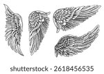 Angel wings or bird set. Angel winged glory sketch doodles vector illustration isolated on white background. Tattoo style image.