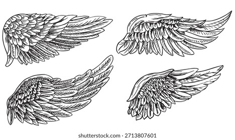 Alas de ángel o conjunto de pájaros. Ilustración vectorial de garabatos de boceto de gloria alada de ángel aislada sobre fondo blanco. Imagen estilo tatuaje.