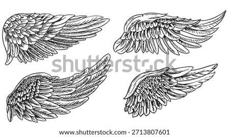 Angel wings or bird set. Angel winged glory sketch doodles vector illustration isolated on white background. Tattoo style image.