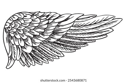 Angel wings, bird wings. Vintage stylized birds wings. Wing in open position drawn on a white background with black ink. Sketch hand drawn vector illustration 