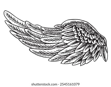 Angel wings, bird wings. Vintage stylized birds wings. Wing in open position drawn on a white background with black ink. Sketch hand drawn vector illustration 