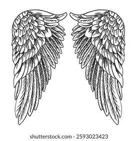 Angel wings or bird. Angel winged glory sketch doodles vector illustration isolated on white background. Tattoo style image.