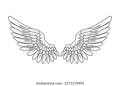 angel wings. the wings of a bird.vector illustration on a white background
