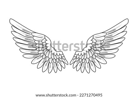 angel wings. the wings of a bird.vector illustration on a white background
