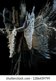 angel wings in bryzah