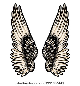 Angel wings with feathers - hand drawn - vector illustration