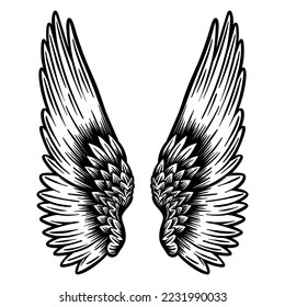 Angel wings with feathers - hand drawn - vector illustration - Out line