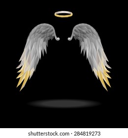 angel wings with floating.
