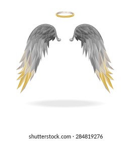 angel wings with floating. 