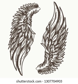 Angel wings. Graphic, hand drawn elements 