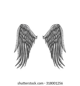 angel wings illustration