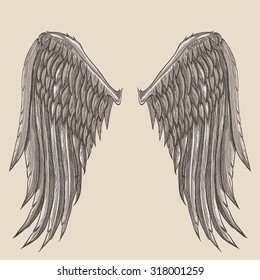 Angel Wings Illustration