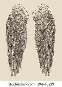 angel wings illustration, engraved style, hand drawn, sketch