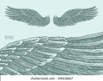 angel wings  illustration, engraved style, hand drawn, sketch