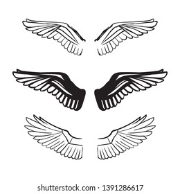angel wings illustration vector set
