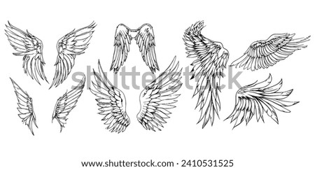 Angel wings illustration vector set, wings graphic element, thin line black, angelic feathered vectors, angel wing clipart collection