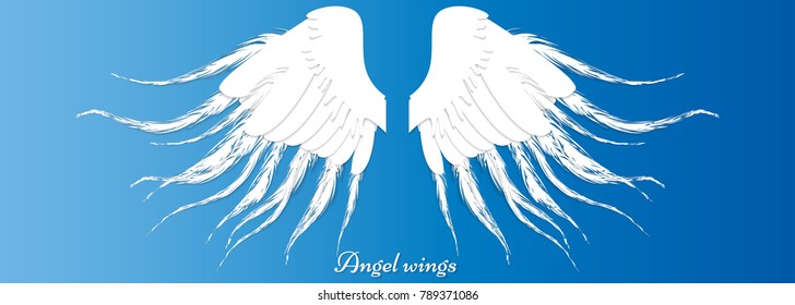 Angel wings isolated on the blue background. Vector